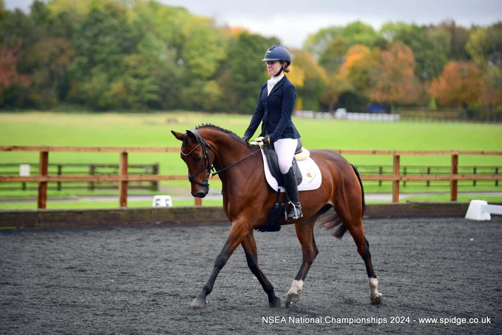 National Honours for Equestrian Team